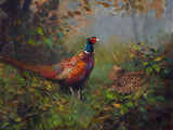 Fine Lithograph on Canvas - A Cock & Hen Pheasant in a Copse aft. Thorburn