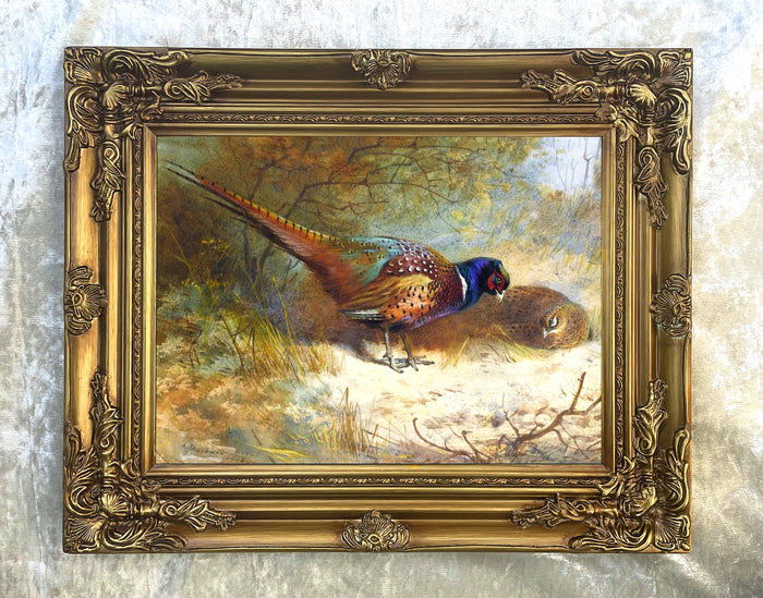 Fine Lithograph on Canvas - A Cock & Hen Pheasant in Woodland  aft.Thorburn