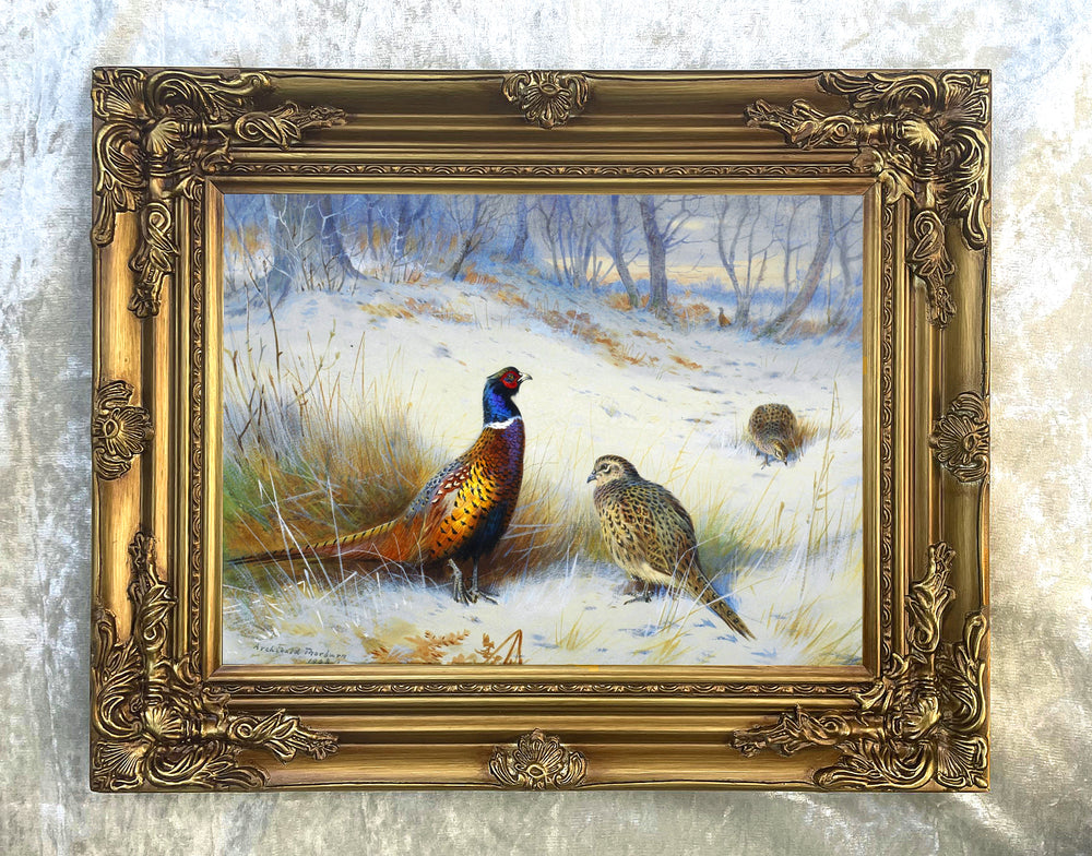 Fine Lithograph on Canvas - A Cock & Hen Pheasant in Winter aft.Thorburn