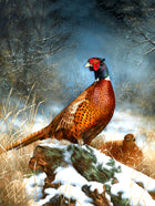 "Pheasant on a Tree Stump in Winter" - Fine Oleograph on Canvas after Thorburn