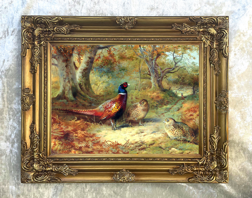 Pheasants in a Woodland Landscape - Fine Lithograph on Canvas after Thorburn