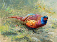 Fine Lithograph on Canvas - A Cock Pheasant in a Copse aft. George Lodge
