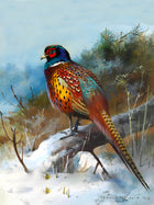 Pheasant in Wintry Woodland - Fine Lithograph on Canvas aft. Thorburn