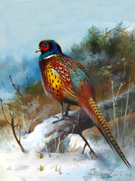 Pheasant in Wintry Woodland - Fine Lithograph on Canvas aft. Thorburn