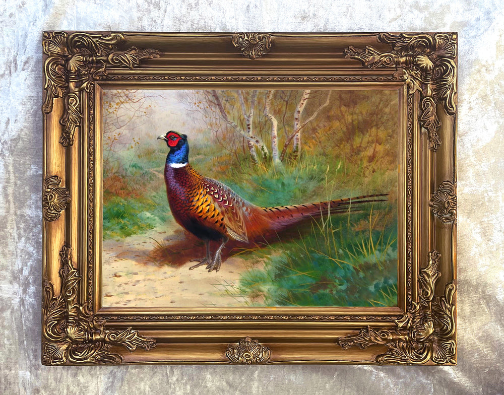 "Pheasant in Woodland" Fine Oleograph on Canvas after Thorburn