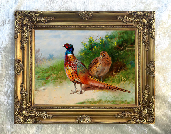 Fine Lithograph on Canvas - A Cock & Hen Pheasant in a Woodland Copse aft.Thorburn
