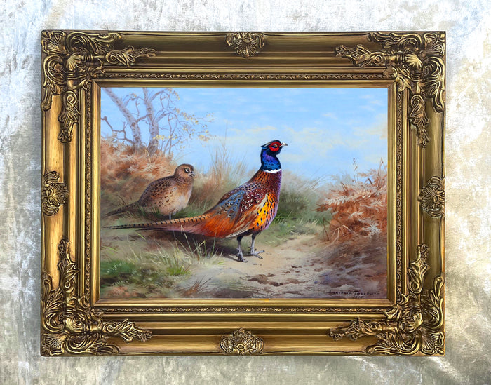 Fine Lithograph on Canvas - Cock Pheasant & Hen in Woodland