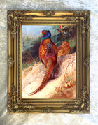 "Pheasant on a Sandy Bank" Fine Oleograph on Canvas after Thorburn