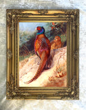 "Pheasant on a Sandy Bank" Fine Oleograph on Canvas after Thorburn