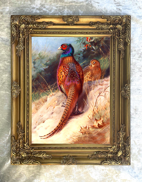 "Pheasant on a Sandy Bank" Fine Oleograph on Canvas after Thorburn