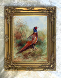 A Cock Pheasant in a Copse- Fine Lithograph on Canvas after Thorburn