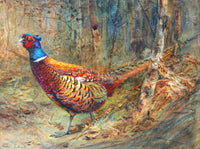 Fine Lithograph on Canvas - A Cock Pheasant in Autumn aft. Charles Whymper