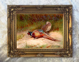 Cock & Hen Pheasants in a Woodland Landscape - Fine Lithograph on Canvas after Thorburn