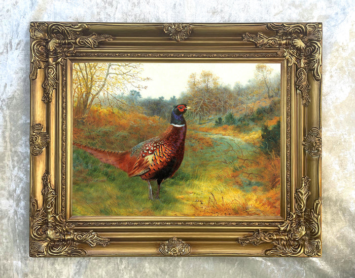 A Cock Pheasant in Woodland - Fine Oleograph on Canvas after Thorburn