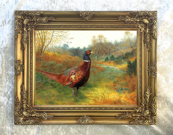 A Cock Pheasant in Woodland - Fine Oleograph on Canvas after Thorburn