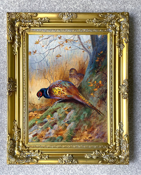 Fine Oleograph on Canvas of Pheasants in a Thicket aft. Thorburn