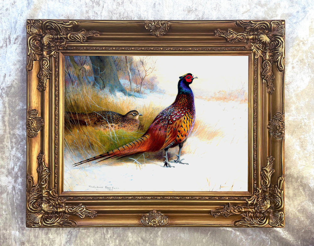 Pheasants in Winter  - Fine Oleograph on Canvas after Thorburn
