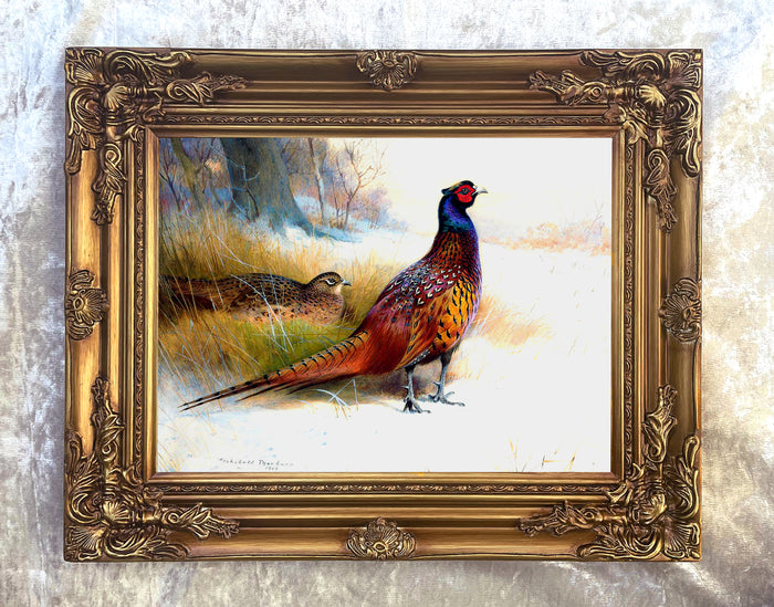 Pheasants in Winter  - Fine Oleograph on Canvas after Thorburn
