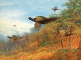 Fine Large Oleograph on Canvas of Pheasants in Flight aft. Thorburn