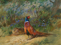 "Pheasants in a Copse" Fine Oleograph on Canvas after Thorburn