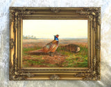 Fine Oleograph on Canvas - Cock & Hen Pheasant in a Rural Landscape aft. Thorburn