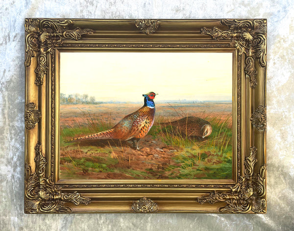 Fine Oleograph on Canvas - Cock & Hen Pheasant in a Rural Landscape aft. Thorburn