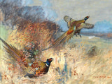 Fine Lithograph on Canvas - Pheasants breaking cover aft. Frank Southgate