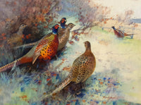 Fine Lithograph on Canvas - Pheasants in a Copse aft. Frank Southgate