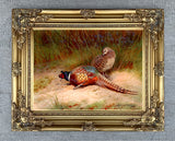 Cock & Hen Pheasants in a Woodland Landscape - Fine Lithograph on Canvas after Thorburn