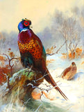 Cock & Hen Pheasant in a Wintry Wood - Fine Lithograph on Canvas after Thorburn