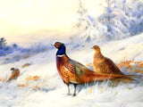 Pheasants in a Winters Woodland Landscape - Fine Lithograph on Canvas after Thorburn