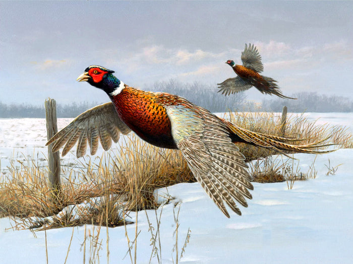 Pheasants in a Wintry Rural Landscape - Fine Lithograph on Canvas after Thorburn