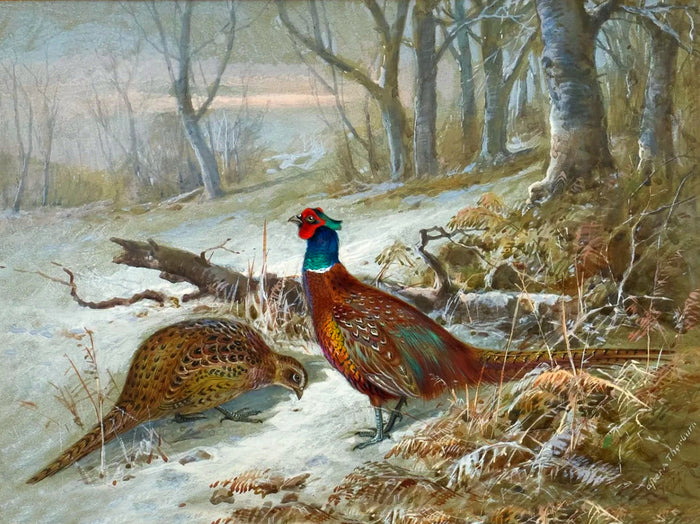 Pheasants in a Snowy Woodland Landscape - Fine Lithograph on Canvas after Thorburn