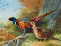 Fine Lithograph on Canvas - A Cock & Hen Pheasant by an Oak Tree