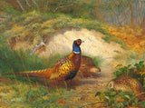 Cock & Hen Pheasants in a Woodland Landscape - Fine Lithograph on Canvas after Thorburn