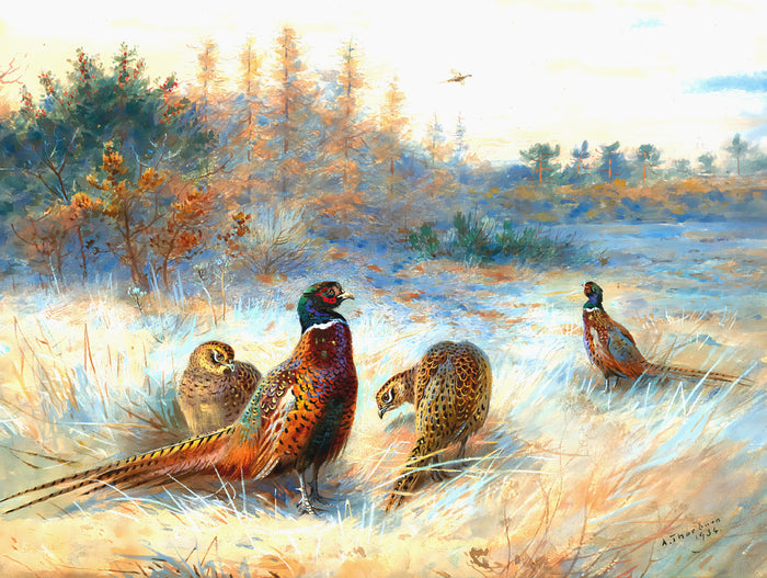 Fine Lithograph on Canvas - Pheasants in an Extensive Landscape