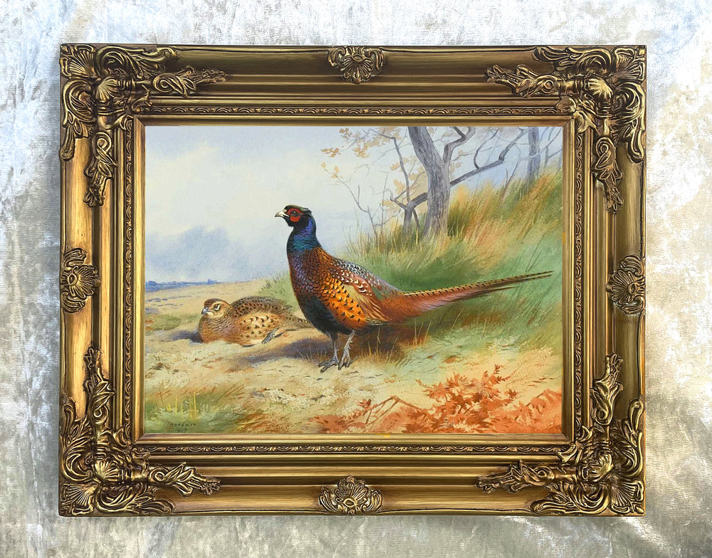 Fine Lithograph on Canvas of a Cock Pheasant & Hen aft. Thorburn