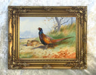 Fine Lithograph on Canvas of a Cock Pheasant & Hen aft. Thorburn