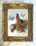Pheasants in a Wintry Landscape - Fine Lithograph on Canvas after Thorburn