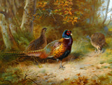Fine Lithograph on Canvas - Cock and Hen Pheasants in Autumn