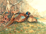 Cock & Hen Pheasants in a Woodland Landscape - Fine Lithograph on Canvas after Woodhouse