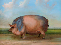 Fine Oleograph on Canvas Portrait of a Prize Pig in a Yard