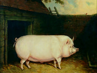 Fine Oleograph on Canvas Portrait of a Prize Pig in a Stable