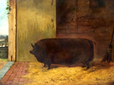 Fine Oleograph on Canvas Portrait of a Prize Pig in Stable