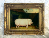 Fine Oleograph on Canvas Portrait of a Prize Pig in a Stable