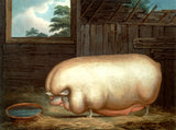 Fine Oleograph on Canvas Portrait of a Prize Pig in a Stall