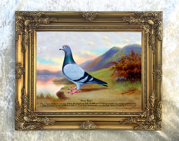 Fine Oleograph on Canvas of the Racing Pigeon "Blue Boy"