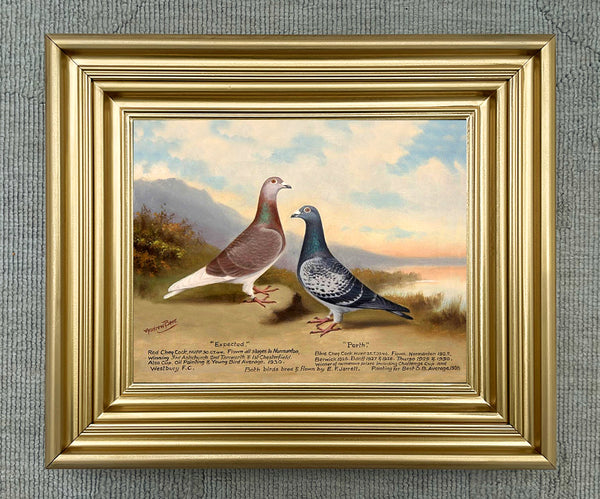 Fine Oleograph on Canvas of "Expected & Porth" - A Pair of Racing Pigeons