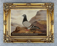 Fine Oleograph on Canvas of the Racing Pigeon "Livewire"