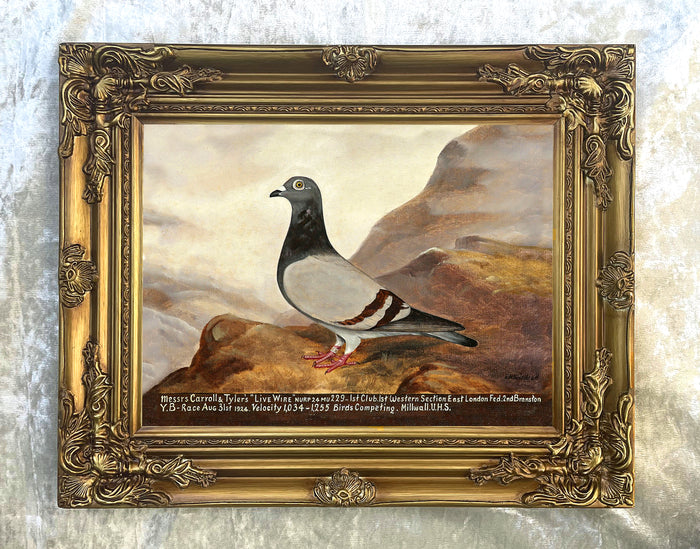 Fine Oleograph on Canvas of the Racing Pigeon 